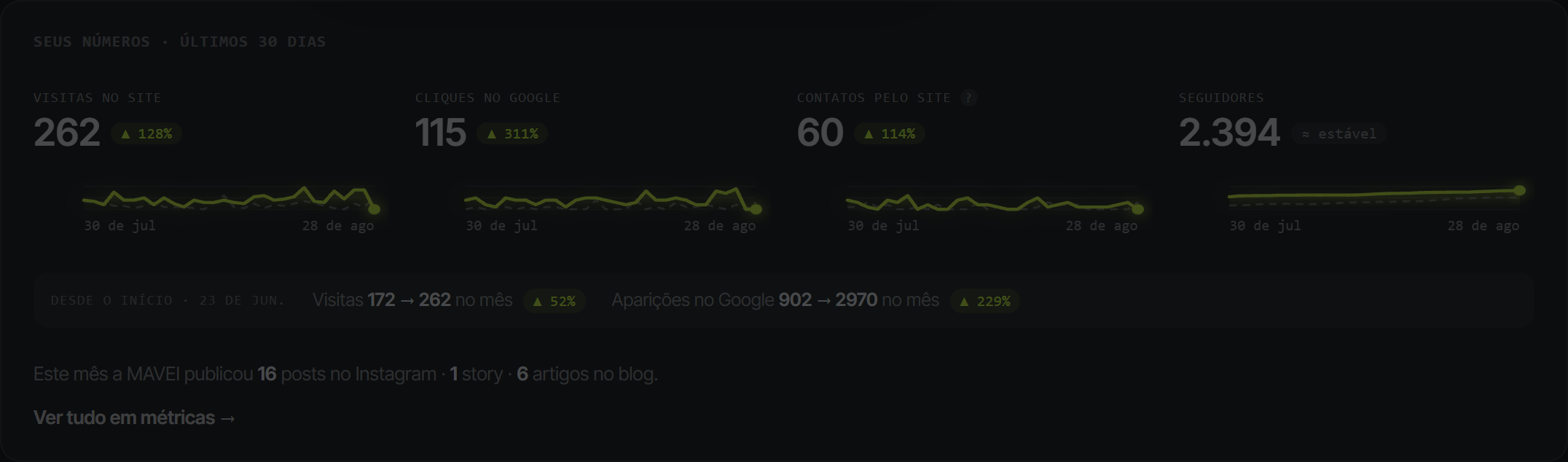 Cartão do painel com quatro números dos últimos 30 dias: 262 visitas no site (alta de 128%), 115 cliques no Google (alta de 311%), 60 contatos pelo site (alta de 114%) e 2.394 seguidores. Abaixo, desde o início: visitas de 172 para 262 e aparições no Google de 902 para 2.970.